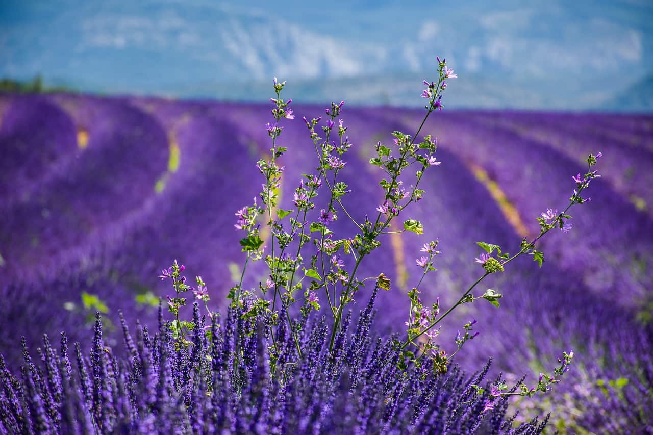 Provence, France